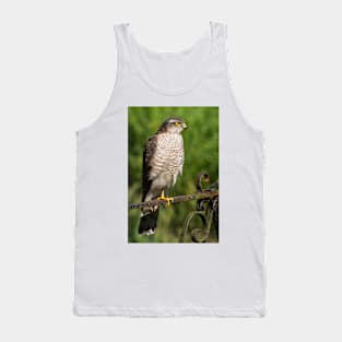 Female Sparrowhawk Hawk Bird of Prey Photo Tank Top